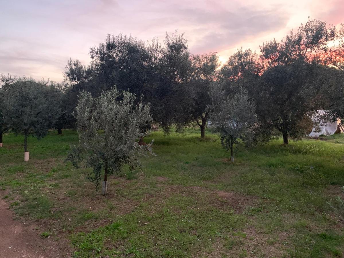 Camera Graziosa Albinia Dış mekan fotoğraf
