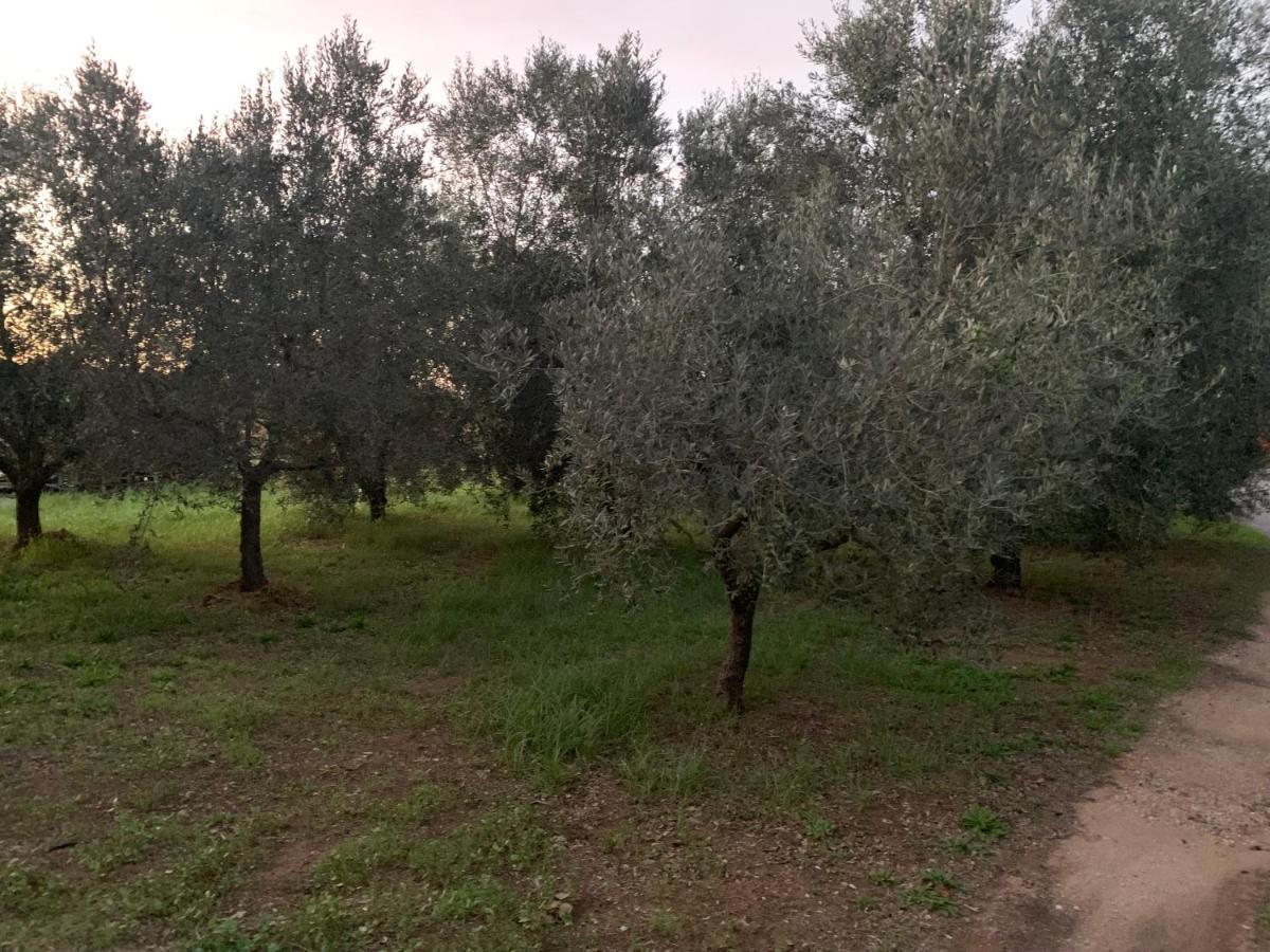 Camera Graziosa Albinia Dış mekan fotoğraf